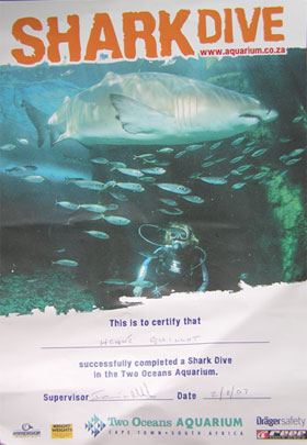 "Shark dive" à l'aquarium du Cap