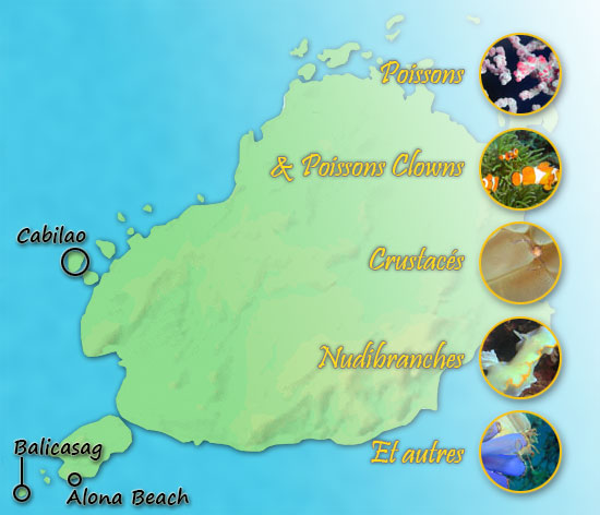 Carte de Bohol - voyage 2014